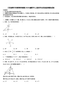 江苏省泰兴市黄桥教育联盟2026届数学七上期末学业质量监测模拟试题含解析