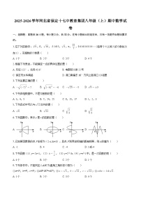 2025-2026学年河北省保定十七中教育集团八年级（上）期中数学试卷-自定义类型