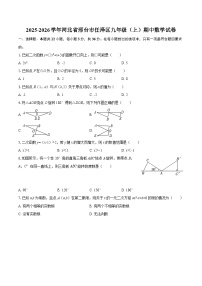 2025-2026学年河北省邢台市任泽区九年级（上）期中数学试卷-自定义类型