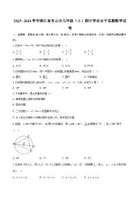 2025--2026学年浙江省舟山市九年级（上）期中学业水平监测数学试卷-自定义类型