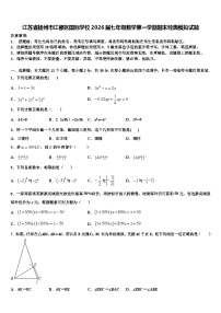 江苏省扬州市江都区国际学校2026届七年级数学第一学期期末经典模拟试题含解析