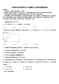 江苏省兴化市实验学校2026届数学七上期末考试模拟试题含解析