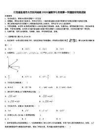 江苏省盐城市大丰区共同体2026届数学七年级第一学期期末检测试题含解析