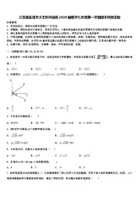 江苏省盐城市大丰区共同体2026届数学七年级第一学期期末检测试题含解析