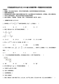 江苏省盐城市东台市七校2026届七年级数学第一学期期末综合测试试题含解析