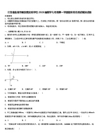 江苏省盐城市解放路实验学校2026届数学七年级第一学期期末综合测试模拟试题含解析