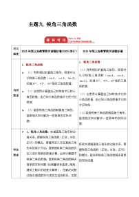 主题九 锐角三角函数  2026年中考数学专题复习考点解读教案