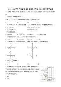 广东省茂名市化州市2025-2026学年八年级上学期期中数学试卷（含答案）