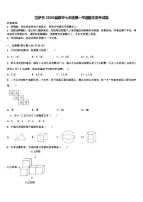 拉萨市2026届数学七年级第一学期期末统考试题含解析
