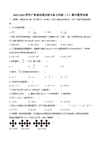 2025-2026学年广东省汕尾市海丰县七年级（上）期中数学试卷-自定义类型