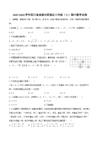 2025-2026学年四川省成都市武侯区八年级（上）期中数学试卷-自定义类型