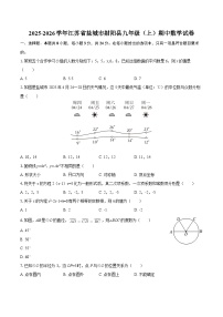 2025-2026学年江苏省盐城市射阳县九年级（上）期中数学试卷-自定义类型