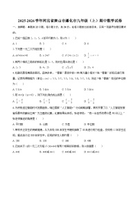 2025-2026学年河北省唐山市遵化市九年级（上）期中数学试卷-自定义类型