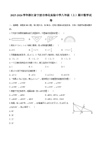2025-2026学年浙江省宁波市奉化实验中学八年级（上）期中数学试卷-自定义类型