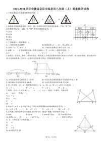安徽省阜阳市临泉县2023-2024学年八年级上学期期末数学试卷