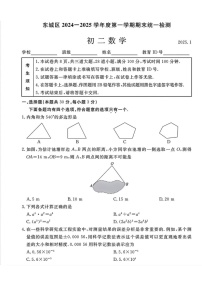 北京市东城区2024-2025学年八年级上学期期末数学试卷