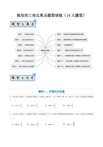 锐角的三角比重点题型训练（14大题型）试题及答案--九年级数学上册期中（沪教版五四制）