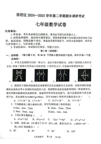 河南省开封市祥符区2024-2025学年七年级下学期期末调研考试数学试卷