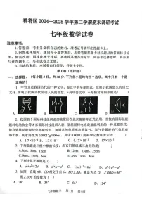 河南省开封市祥符区2024-2025学年七年级下学期期末调研考试数学试卷