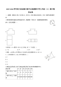 2025-2026学年四川省成都市青羊区泡桐树中学九年级（上）期中数学试卷（有答案和解析）