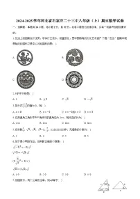 2024-2025学年河北省石家庄二十三中八年级（上）期末数学试卷（有答案和解析）