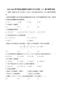 2025-2026学年湖北省襄阳市老河口市七年级（上）期中数学试卷-自定义类型