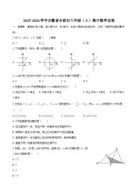 2025-2026学年安徽省合肥市八年级（上）期中数学试卷-自定义类型