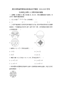 贵州省黔南布依族苗族自治州平塘县2024-2025学年九年级上学期11月期中数学试卷（学生版）