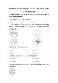贵州省黔南布依族苗族自治州2024-2025学年九年级上学期11月期中数学试卷（学生版）