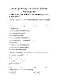 贵州省六盘水市水城区2024-2025学年九年级上学期期中考试数学试卷（学生版）