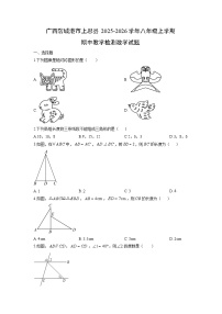 广西防城港市上思县2025-2026学年八年级上学期期中教学检测数学试卷（学生版）