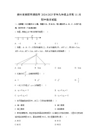 贵州省贵阳市清镇市2024-2025学年九年级上学期11月期中数学试卷（学生版）