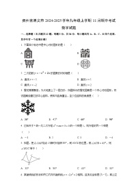 贵州省遵义市2024-2025学年九年级上学期11月期中考试数学试卷（学生版）