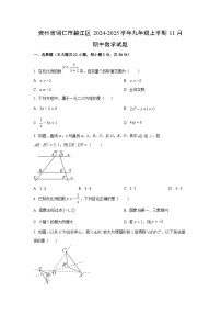 贵州省铜仁市碧江区2024-2025学年九年级上学期11月期中数学试卷（学生版）