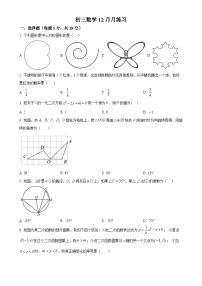 北京市陈经纶中学嘉铭分校2024—2025学年上学期12月月考九年级数学试卷（原卷版）-A4
