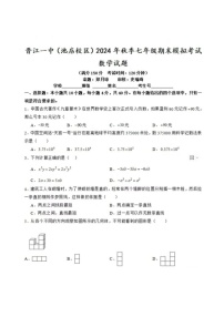 福建省泉州市晋江市第一中学2024—2025学年上学期七年级数学期末模拟试卷