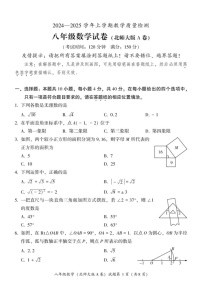福建省漳州市2024—2025学年八年级上学期期末教学质量检测数学北师大版A卷