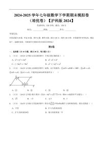 2024-2025学年七年级数学下学期期末模拟卷试题及答案（培优卷）（沪科版2024）