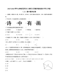 2025-2026学年云南省昆明市上海师大附属官渡实验中学九年级（上）期中数学试卷-自定义类型
