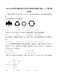 2025-2026学年内蒙古通辽市科左后旗金宝屯镇九年级（上）期中数学试卷-自定义类型