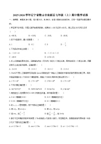 2025-2026学年辽宁省鞍山市高新区七年级（上）期中数学试卷-自定义类型