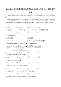 2025-2026学年湖南省岳阳市湘阴县长仑五校七年级（上）期中数学试卷-自定义类型