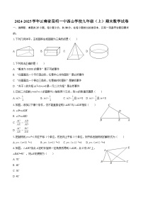 2024-2025学年云南省昆明一中西山学校九年级（上）期末数学试卷-自定义类型
