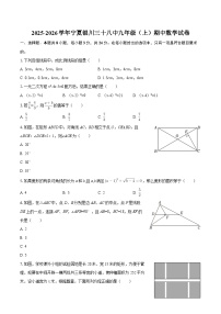 2025-2026学年宁夏银川三十八中九年级（上）期中数学试卷-自定义类型