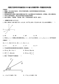 内蒙古巴彦淖尔市杭锦后旗2026届七年级数学第一学期期末统考试题含解析