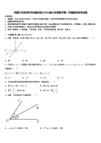 内蒙古巴彦淖尔市杭锦后旗2026届七年级数学第一学期期末统考试题含解析