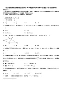 辽宁省锦州市滨海新区实验学校2026届数学七年级第一学期期末复习检测试题含解析