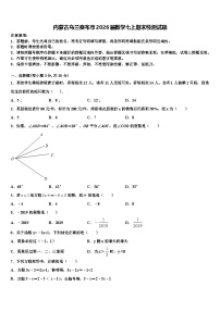 内蒙古乌兰察布市2026届数学七上期末检测试题含解析