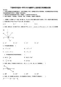 宁夏吴忠市盐池一中学2026届数学七上期末复习检测模拟试题含解析