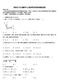 青岛市2026届数学七上期末教学质量检测模拟试题含解析